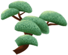 img20